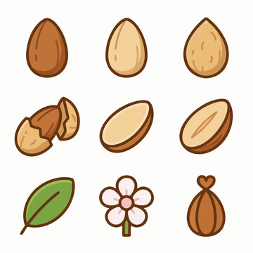Almond Icons Set &ndash; Almond Nuts, Sliced Almonds, Flower, Leaf and Organic Food Vector Illustration
