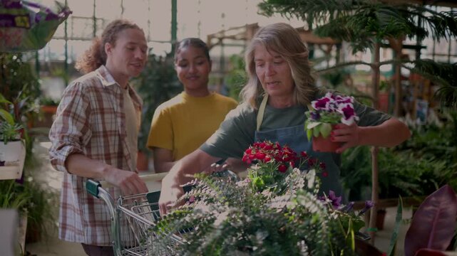 Experienced female florist helping a young diverse couple choose beautiful potted plants and flowers for their home, placing their selections into a shopping cart at a local greenhouse nursery