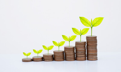 coin stack money saving concept. green leaf plant growth on rows of coin on white background. money matters tips to investment and business financial banking for Financial Wellness.money management.