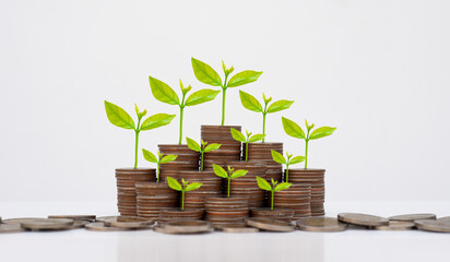 coin stack money saving concept. green leaf plant growth on rows of coin on white background. money matters tips to investment and business financial banking for Financial Wellness.money management.
