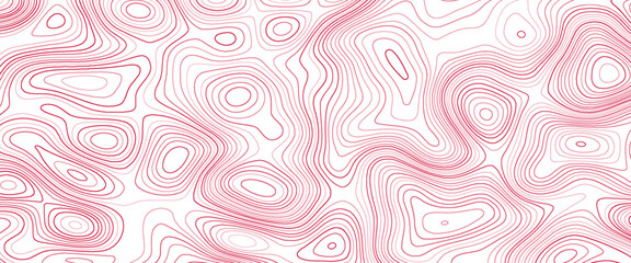 Topographic line map. Modern design with White background with topographic wavy pattern design.