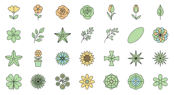 Collection of decorative floral and botanical elements, perfect for graphic design and branding