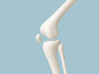 Human knee joint bones anatomy on blue background. Medical or healthcare concept. Vector illustration_1