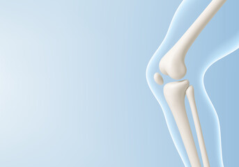 Leg bone in the transparent human body. Educational medical illustration of leg bones and knee. Biological and medical concept. Vector illustration