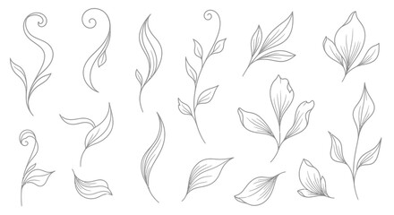 Fototapeta premium A beautiful collection of hand drawn botanical leaves and stems.