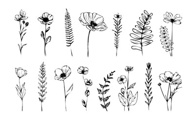 Elegant botanical line art illustration featuring stylized flowers, curved stems and natural floral elements arranged in a refined decorative composition.