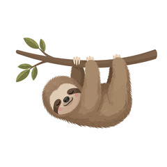 Fototapeta premium Cute sloth hanging from a tree branch, smiling happily.