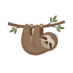 Fototapeta premium Cute sloth hanging on a tree branch, smiling happily.