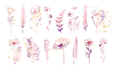 Botanical floral line art composition featuring stylized blossoms, natural stems and refined plant elements arranged in an elegant minimal nature illustration.