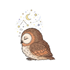 Dreaming owl with stars and moon illustration, cute bird.