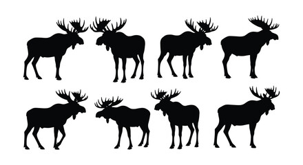 Silhouettes of majestic moose a collection of varying poses and viewpoints