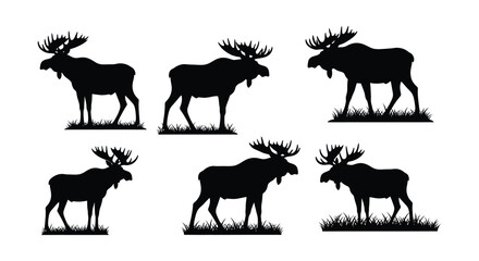 Silhouettes of majestic moose a collection of varying poses and viewpoints