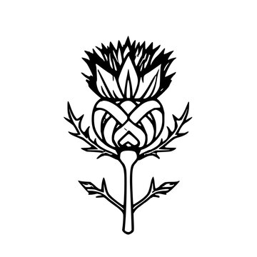 Scottish Thistle Emblem: Black and White Celtic Kn