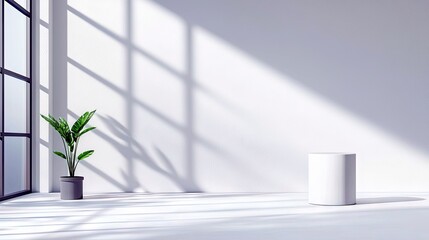A minimalist interior scene featuring a green potted plant and a white cylinder pedestal, illuminated by dramatic shadows cast from a large window.