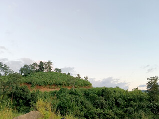 Obraz premium Lush Green Hillside Under a Soft Blue Sky with Scattered Clouds
