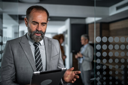 Mature businessman discussing business ideas during a corporate meeting