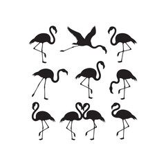 Set of umbrellas birds and pink flamingos vector illustration