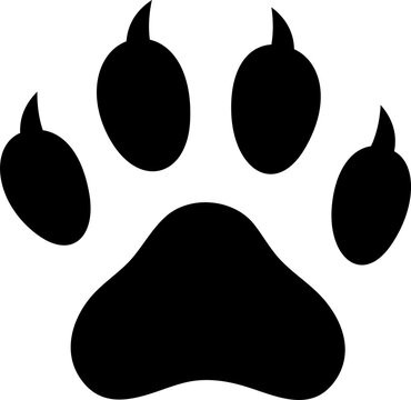 strach animal attack