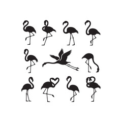 Set of pink and black flamingo silhouettes vector illustration in nature