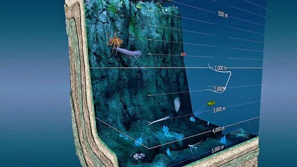 Marine organisms found in deep ocean
