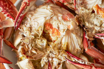 Boiled crab on a plate