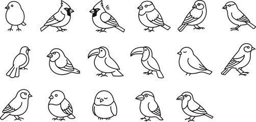 Fototapeta premium Collection of various bird species line art illustrations