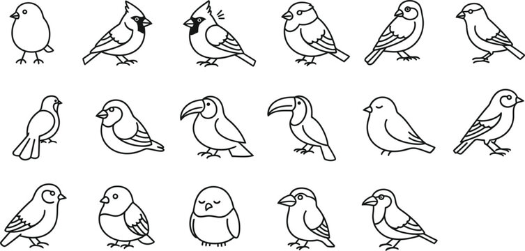 Collection of various bird species line art illustrations