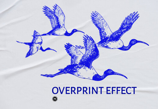 Overprint Photo Effect