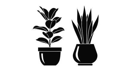 Two potted plants in black silhouette a simple botanical illustration