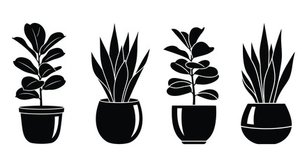 Two potted plants in black silhouette a simple botanical illustration