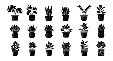A collection of various potted indoor plants in a black and white style