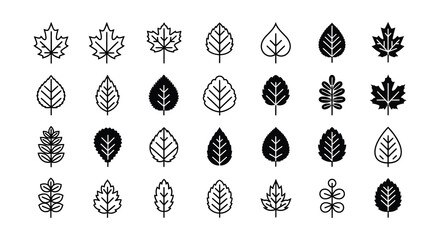Collection of various simple black and white leaf illustrations in a grid pattern