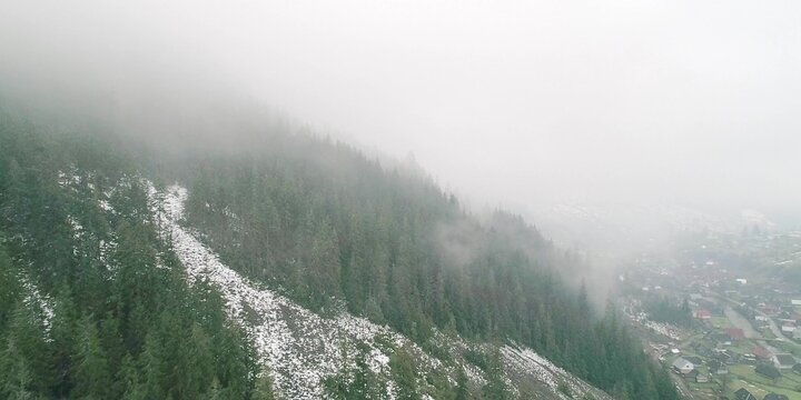 Green grass hill in mist, foggy pine and rock, rural idyllic mountain - Powered by Adobe