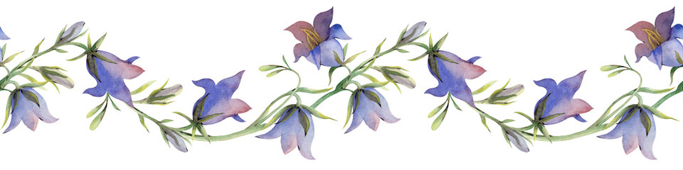 Horizontal seamless border with bellflowers on a white background. Watercolor illustration of realistic wildflowers. A botanical template for textile and wallpaper design, gardening.
