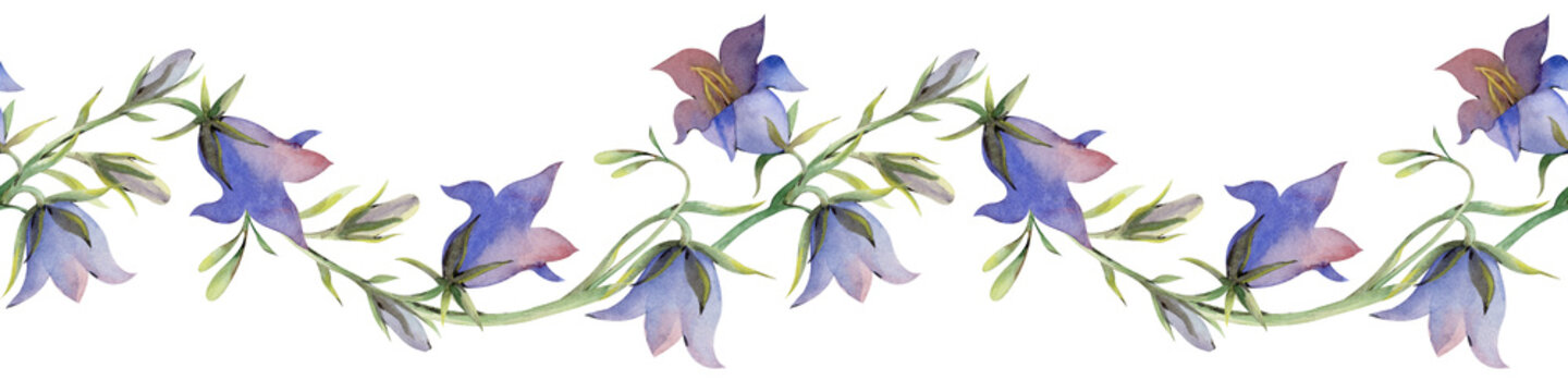 Horizontal seamless border with bellflowers on a white background. Watercolor illustration of realistic wildflowers. A botanical template for textile and wallpaper design, gardening.