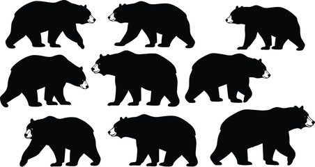 Bear silhouettes walking, wild animal icons, wildlife vector, forest creature, animal movement, nature illustration, mammal posture, zoology study, animal design, flat vector