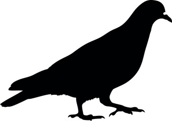 Pigeon silhouette bird icon vector graphic