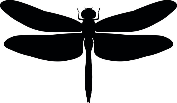 Black dragonfly silhouette elegant insect vector art
