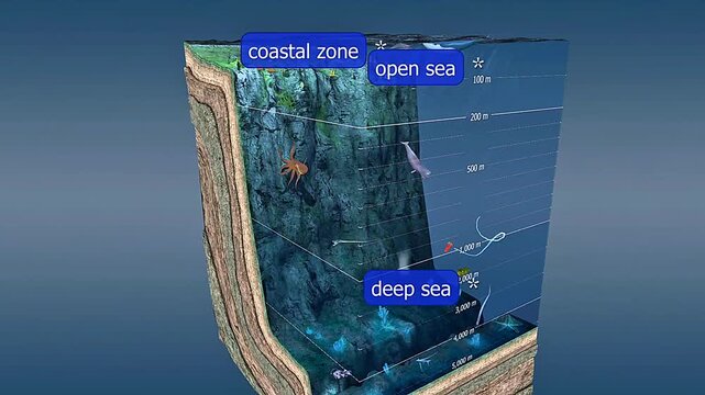 Ocean layers 3D animation