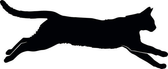 Black cat silhouette running dynamic motion