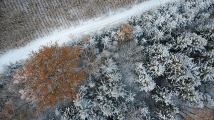 aerial view of winter forest. drone photography. beautiful winter landscape