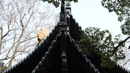 The classical architectures view located in the old temple of the China