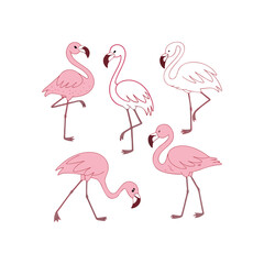Obraz premium Set of cute pink flamingos vector illustration in nature