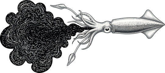 Squid illustration with ink cloud vintage style drawing of cephalopod squirting ink isolated on white background