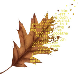 Autumn oak leaf dissolving into text conceptual vector illustration for seasonal design isolated on white background