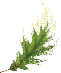 Green leaf with binary code texture representing technology and nature for environmental science and digital transformation concepts