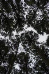 Obraz premium 兵庫県朝来市の風景