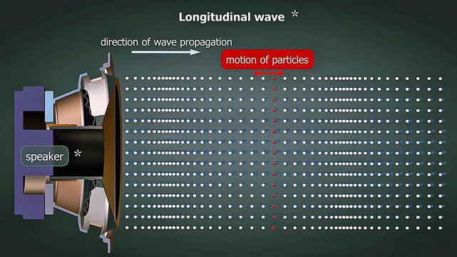 Longitudinal wave