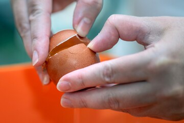 Female hands cracking a brown chicken egg for breakfast preparation in the kitchen