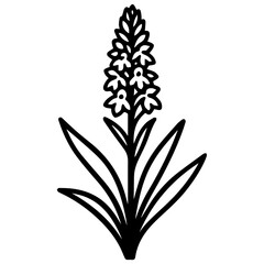 Minimalist line drawing of a hyacinth flower spike with small blossoms and long strap-like leaves, a clean botanical icon on a white background&mdash;great for stickers, logos, and spring-themed designs.